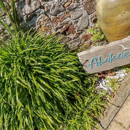 Abalone